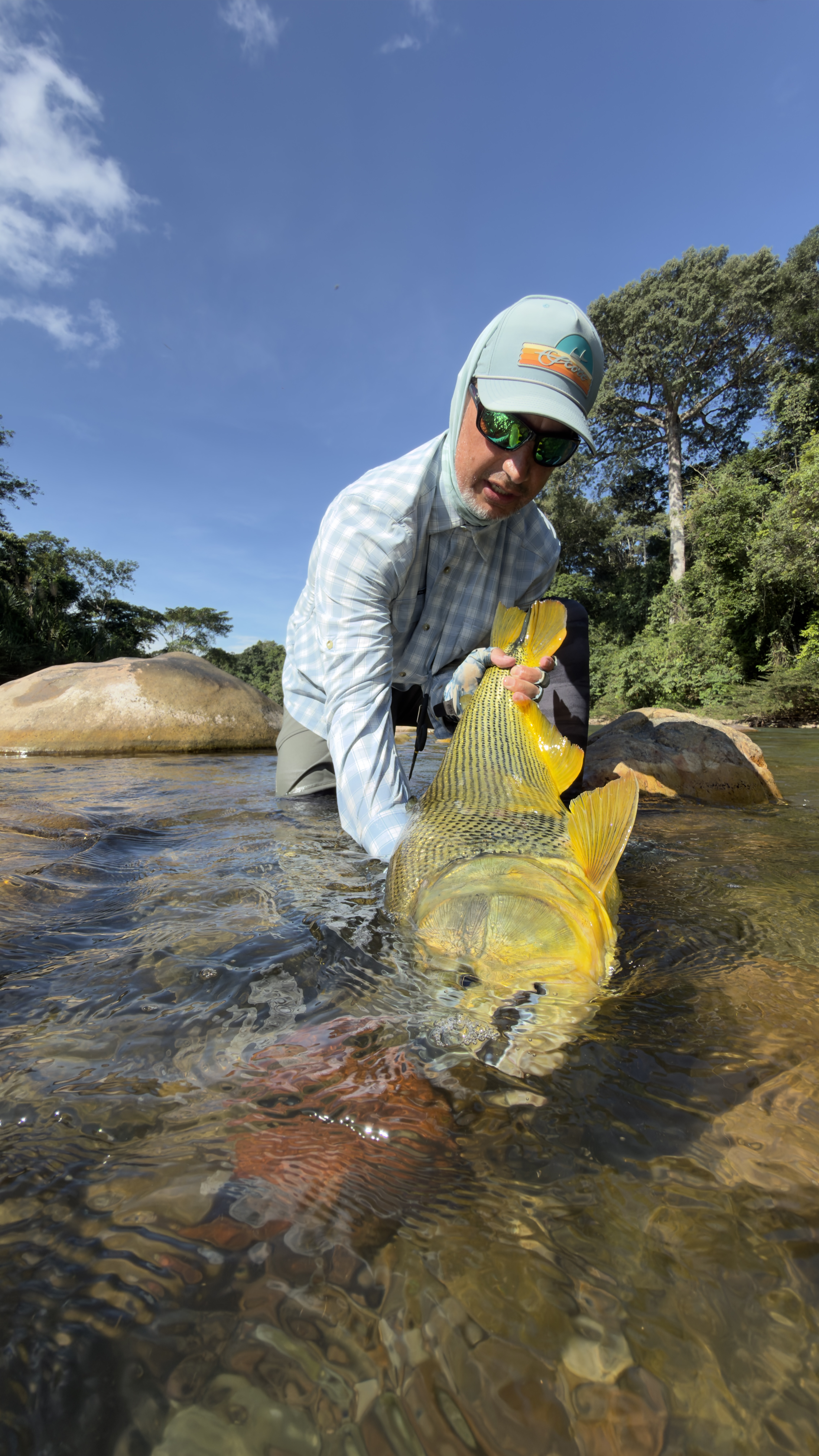 Topwater action during the sábalo migration