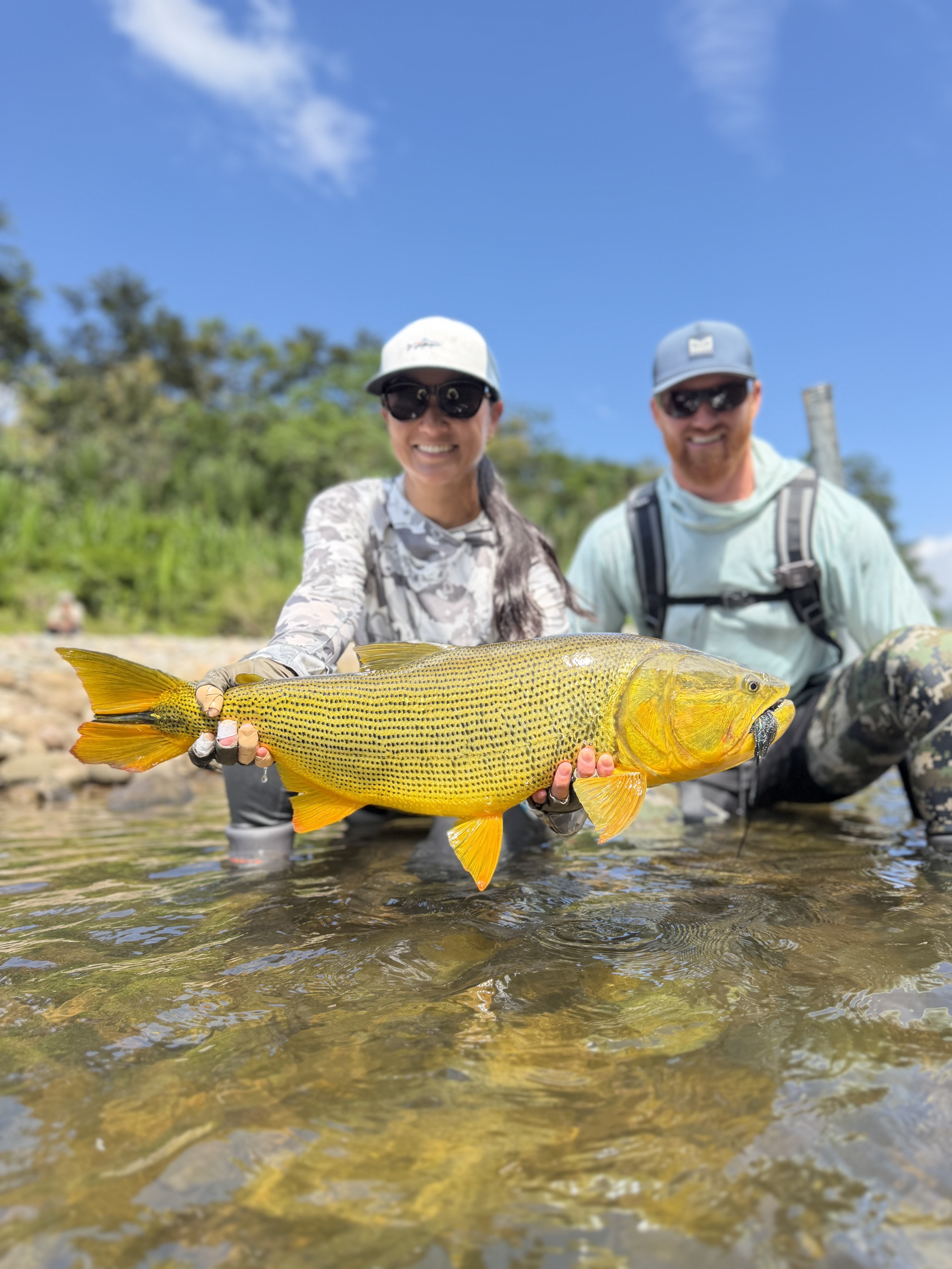 Allison&rsquo;s 24-pound female dorado