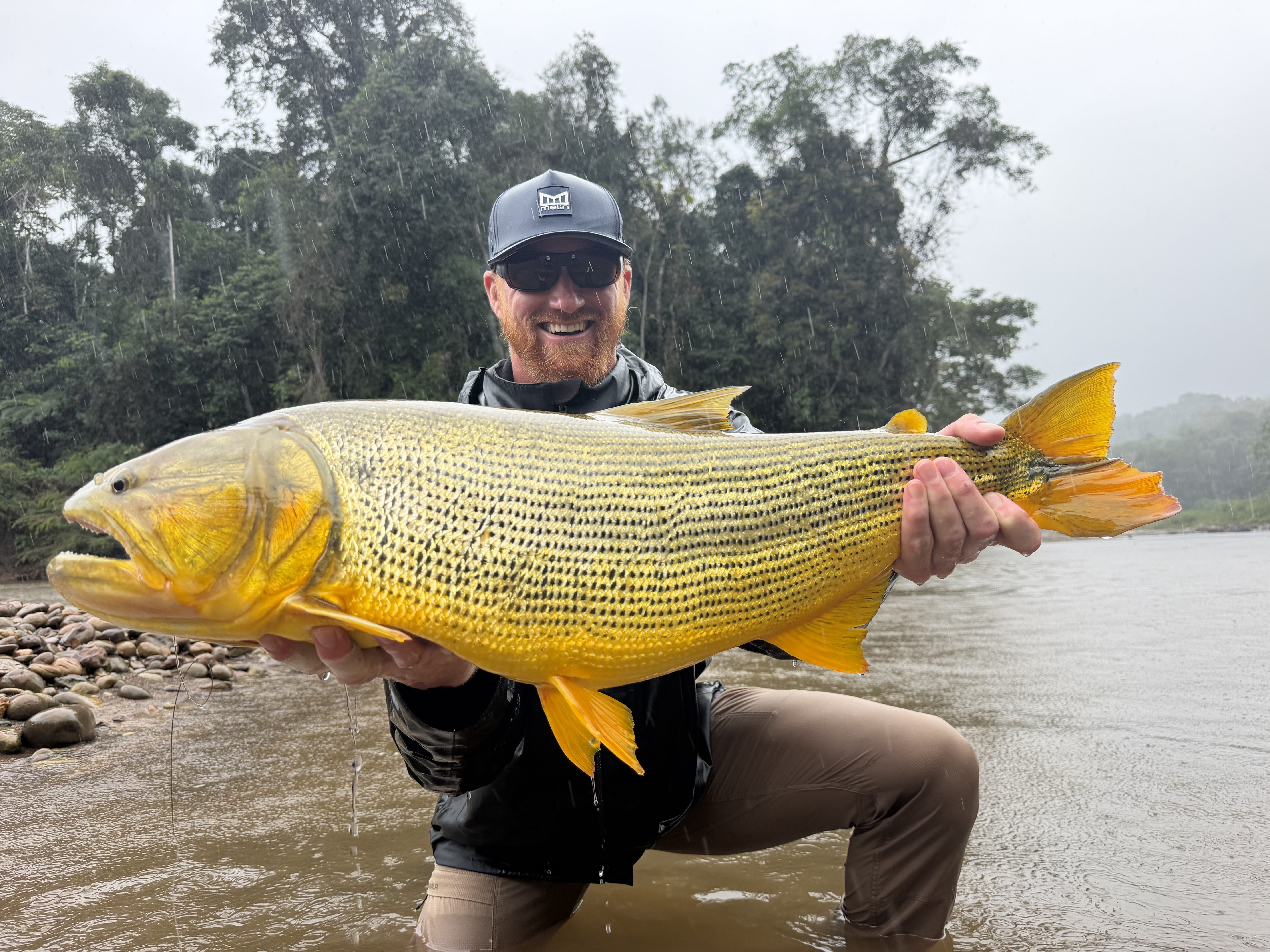 Matt&rsquo;s 21-pound dorado from a shallow upstream run