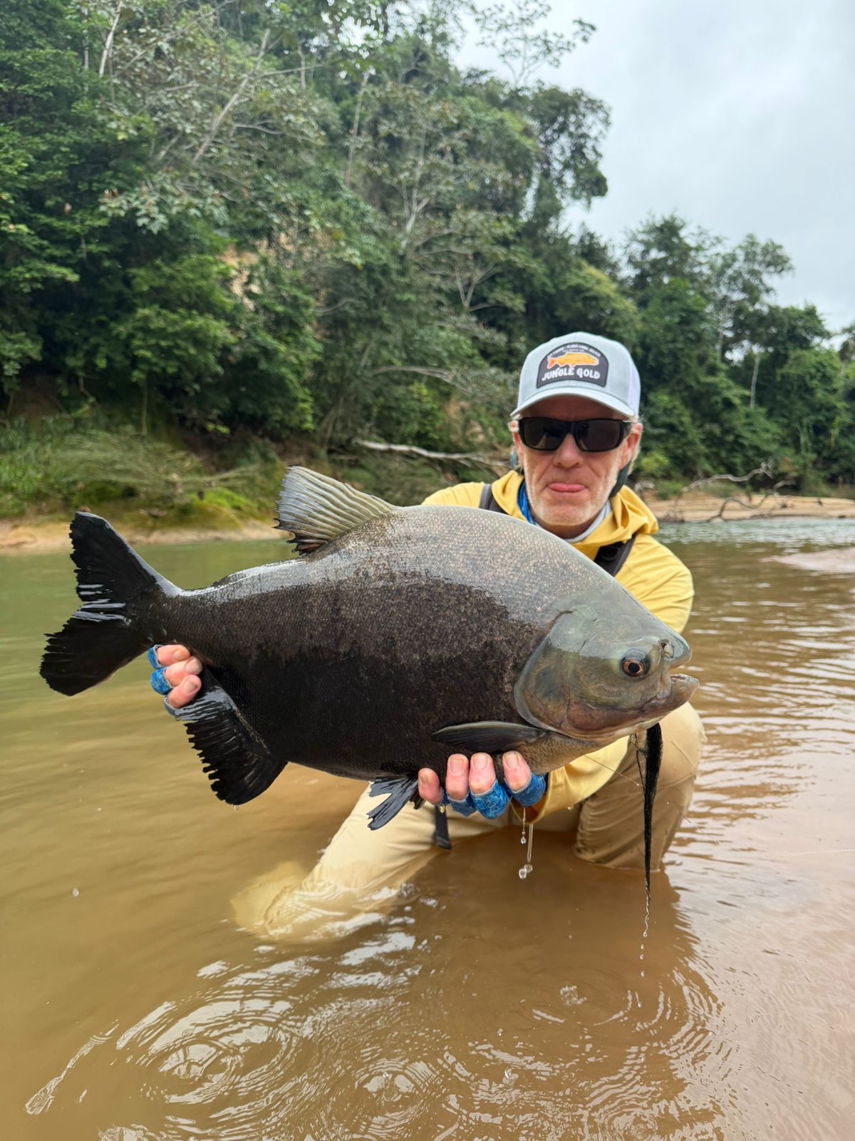 An Amazonian pacú that took a streamer