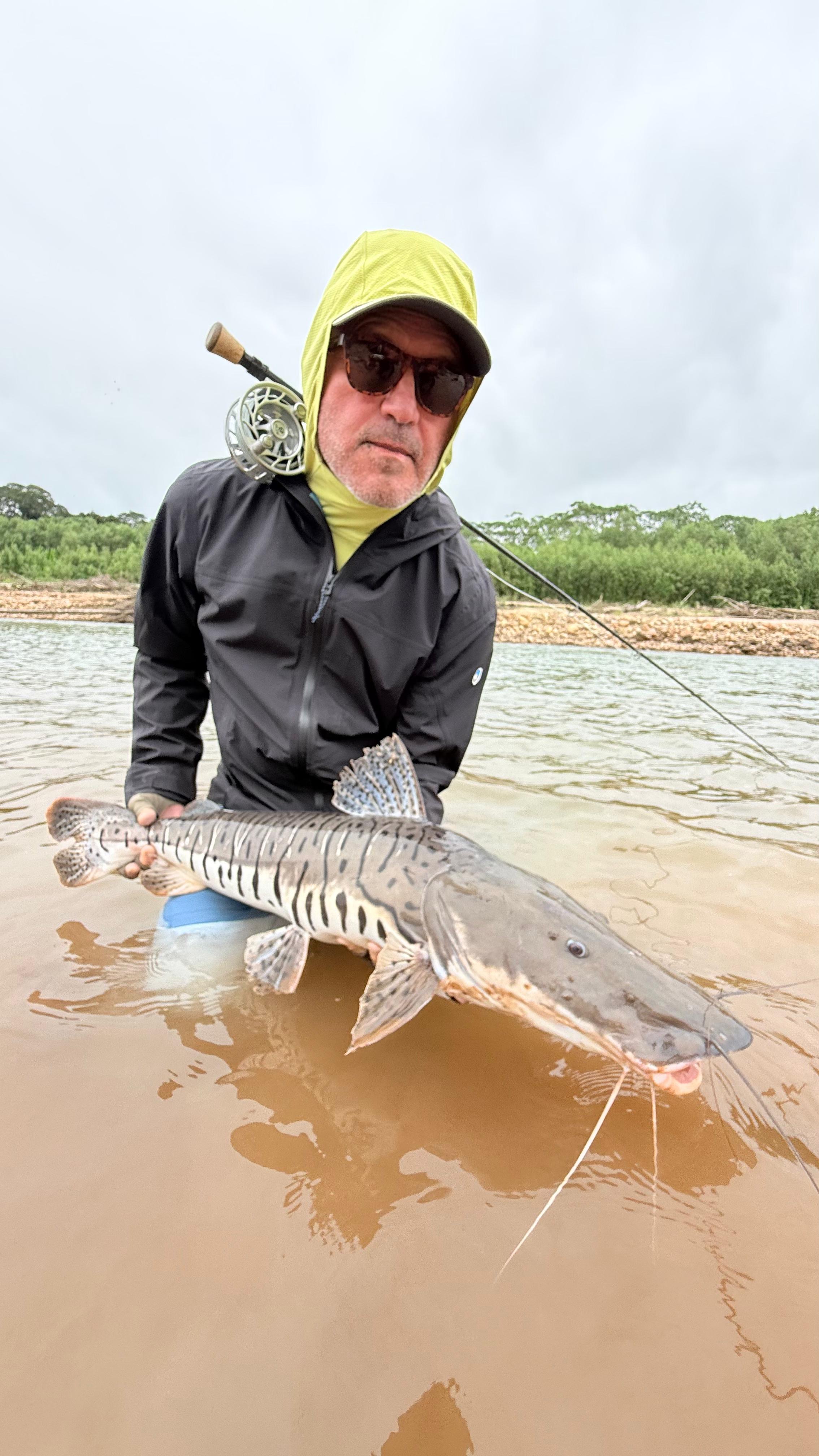 Bob's surubí, landed on a blind cast