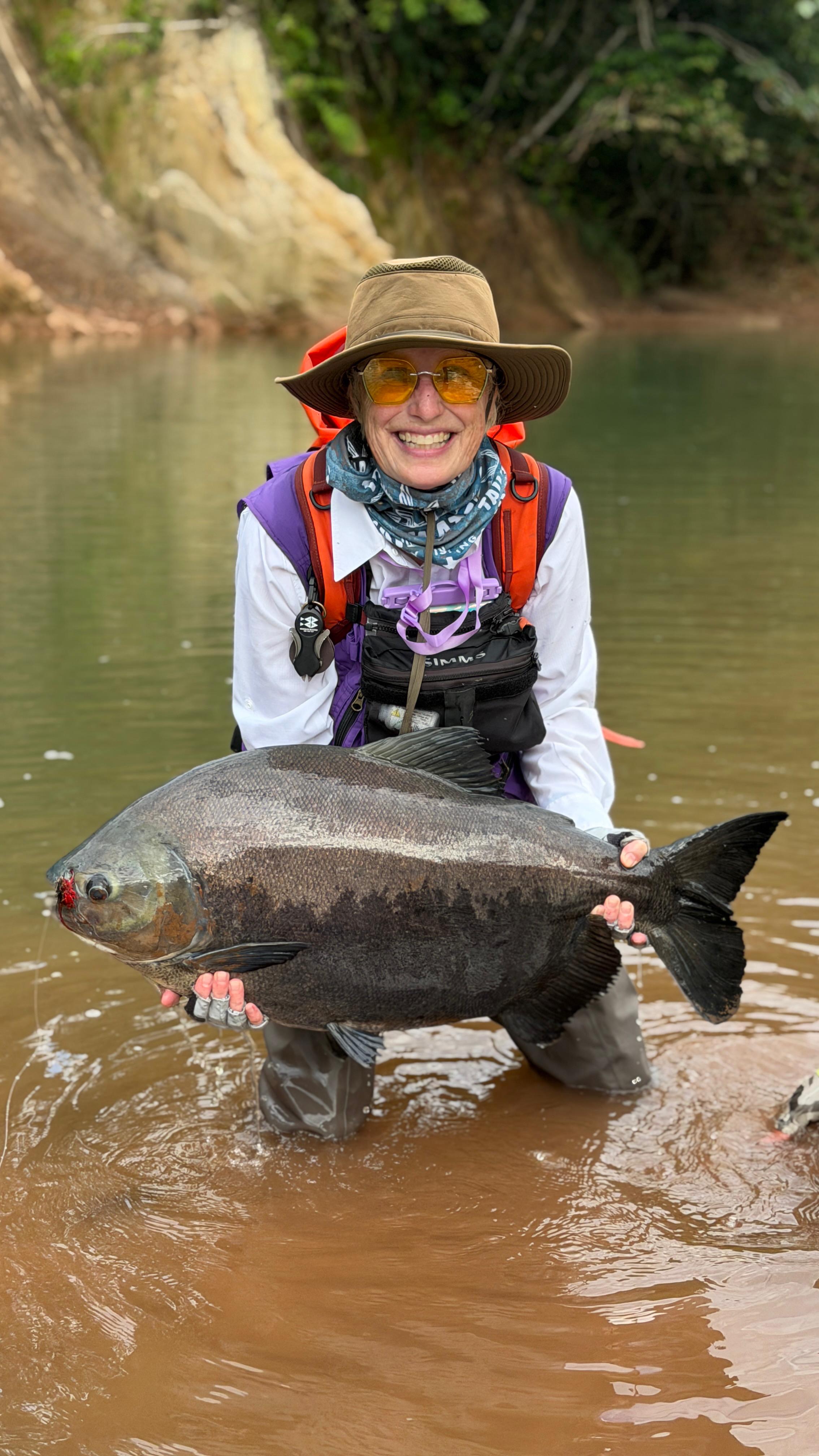 A beautiful pacú brought to hand