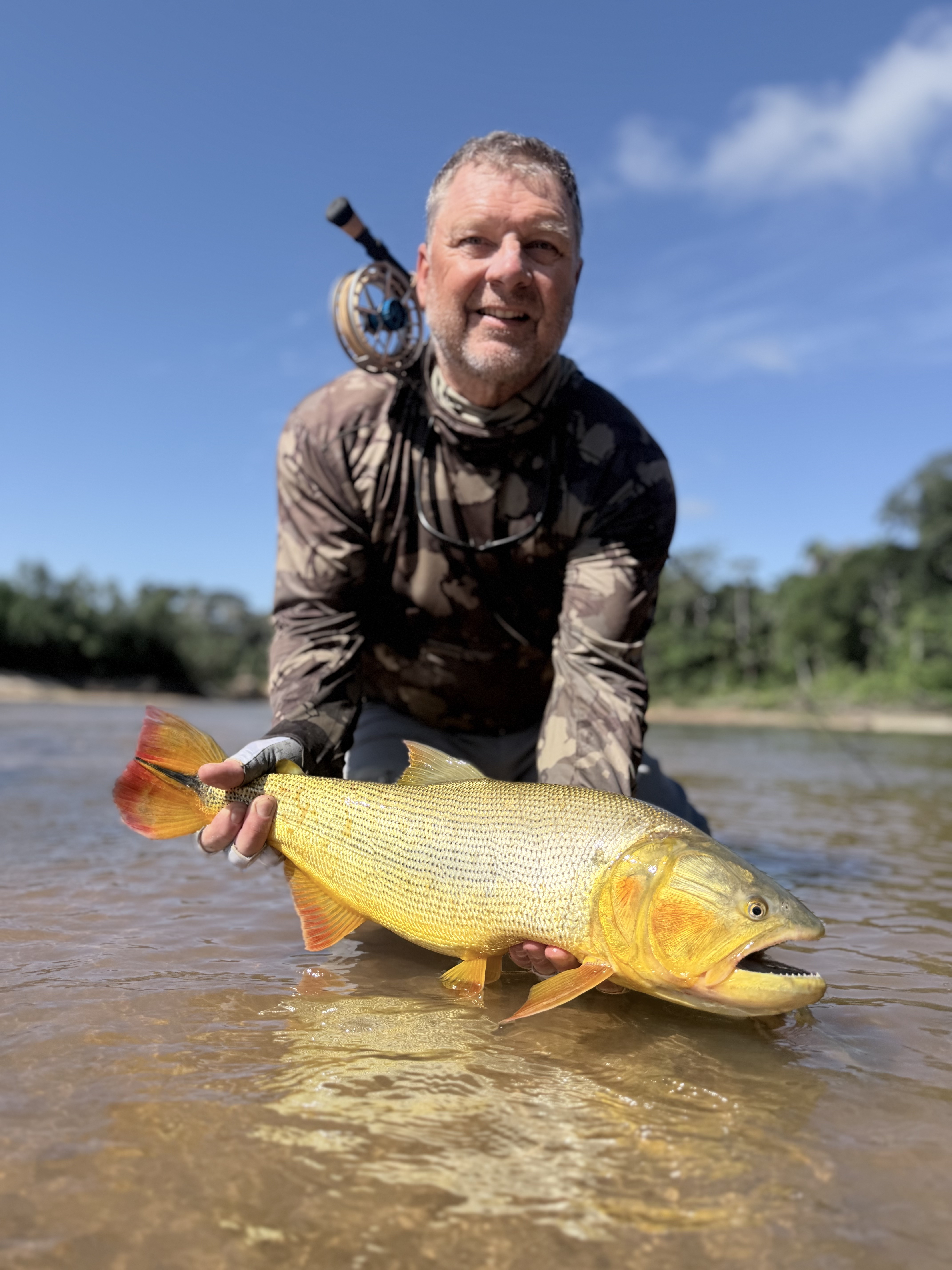A quality dorado landed from the clear, low waters of Agua Negra