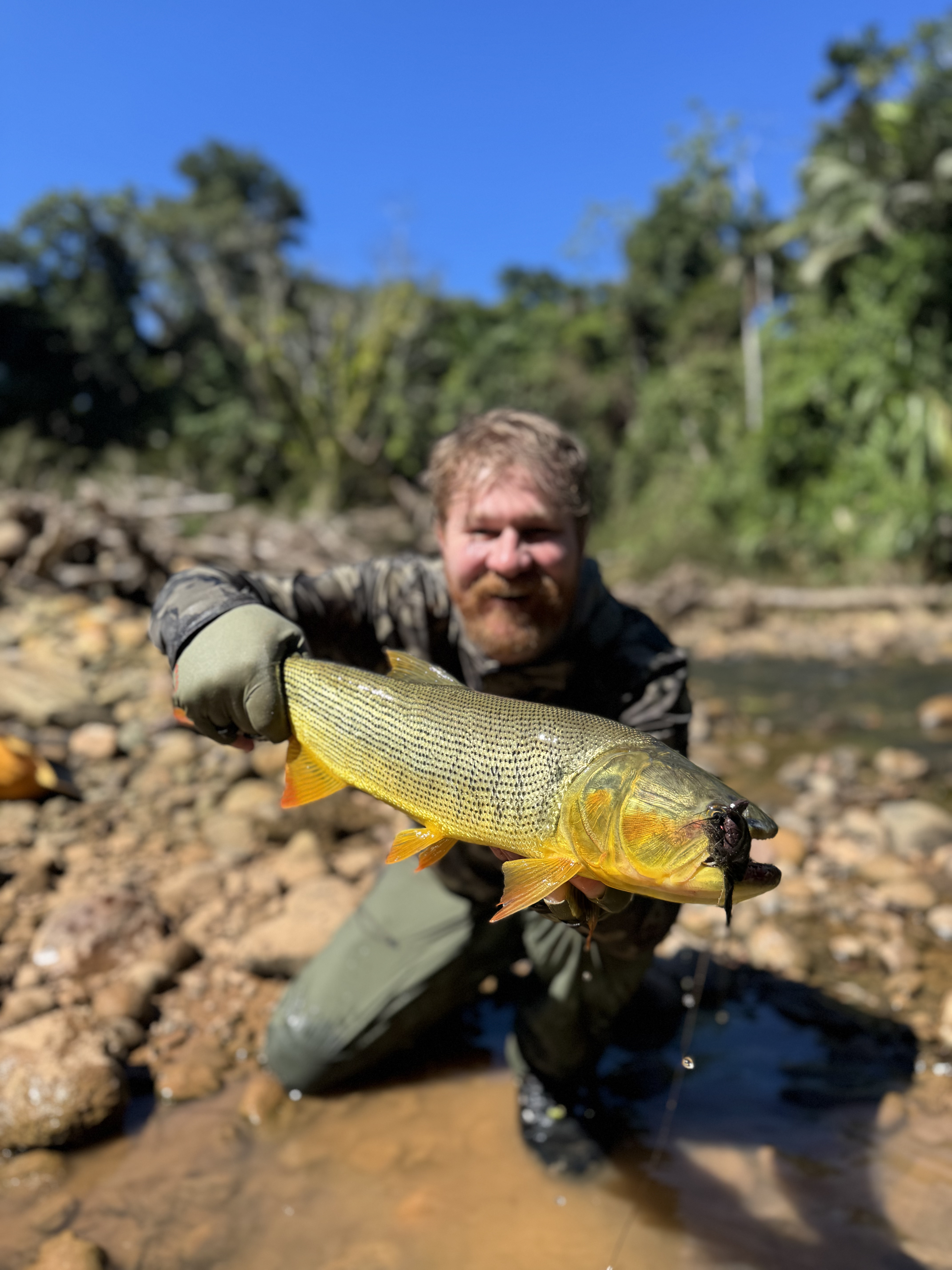 Hiking deep into the intimate Chimoro River
