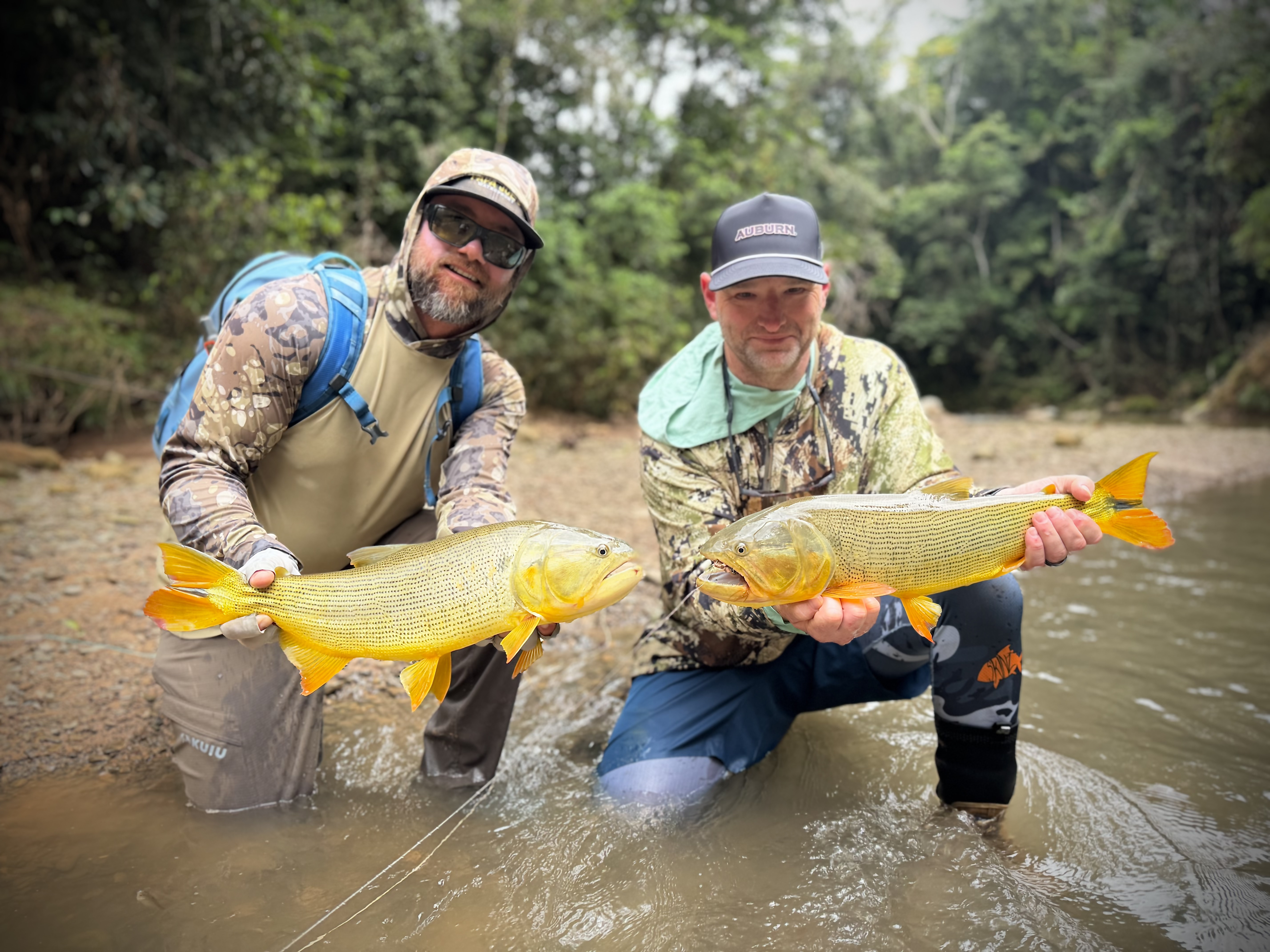 Sight-fished dorado and topwater eats far up the Chimoro