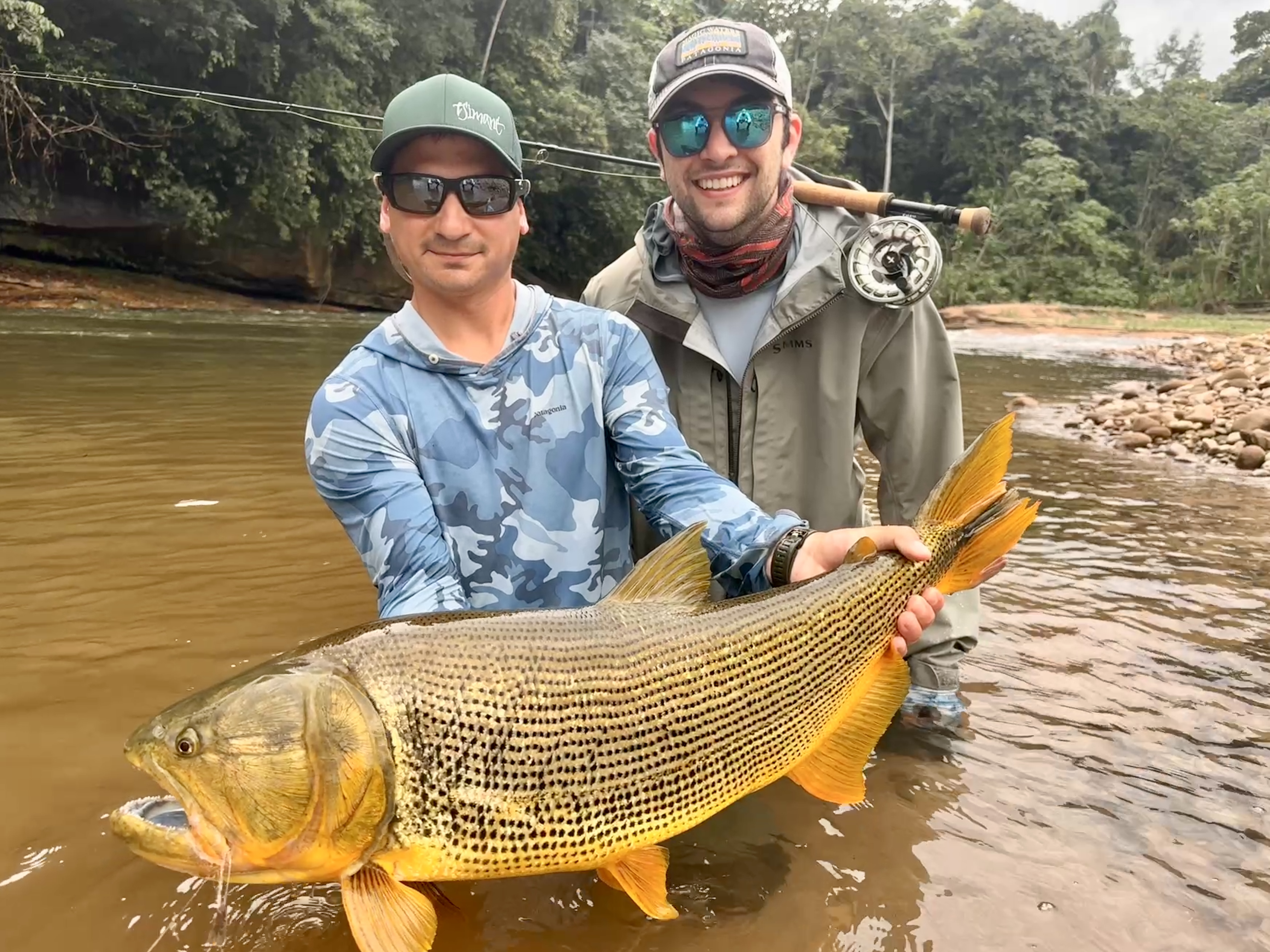Matt's flawless 22-pound female dorado from a shallow run