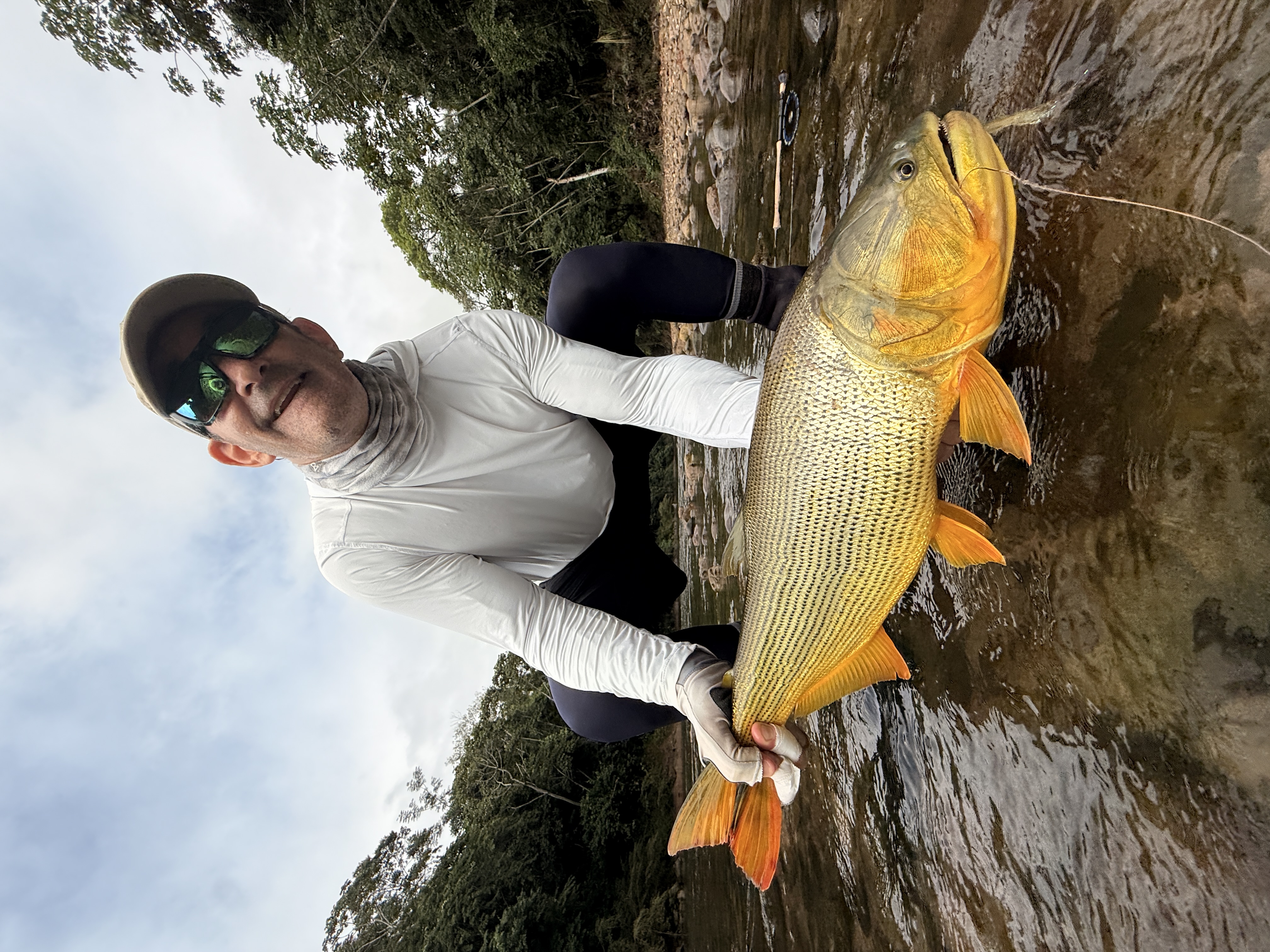 A dorado taken during a prolonged shallow-water feeding frenzy