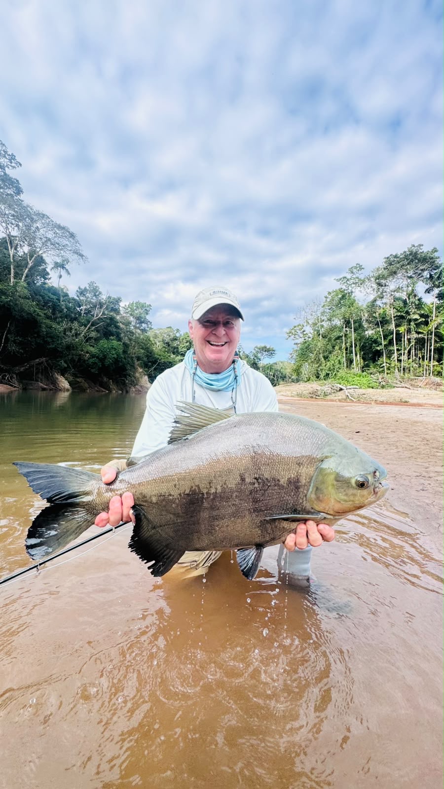 A large pacú taken on a dry fly in fast water