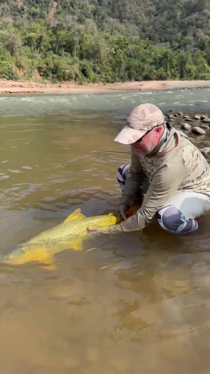 Joel&rsquo;s dorado clearing the water