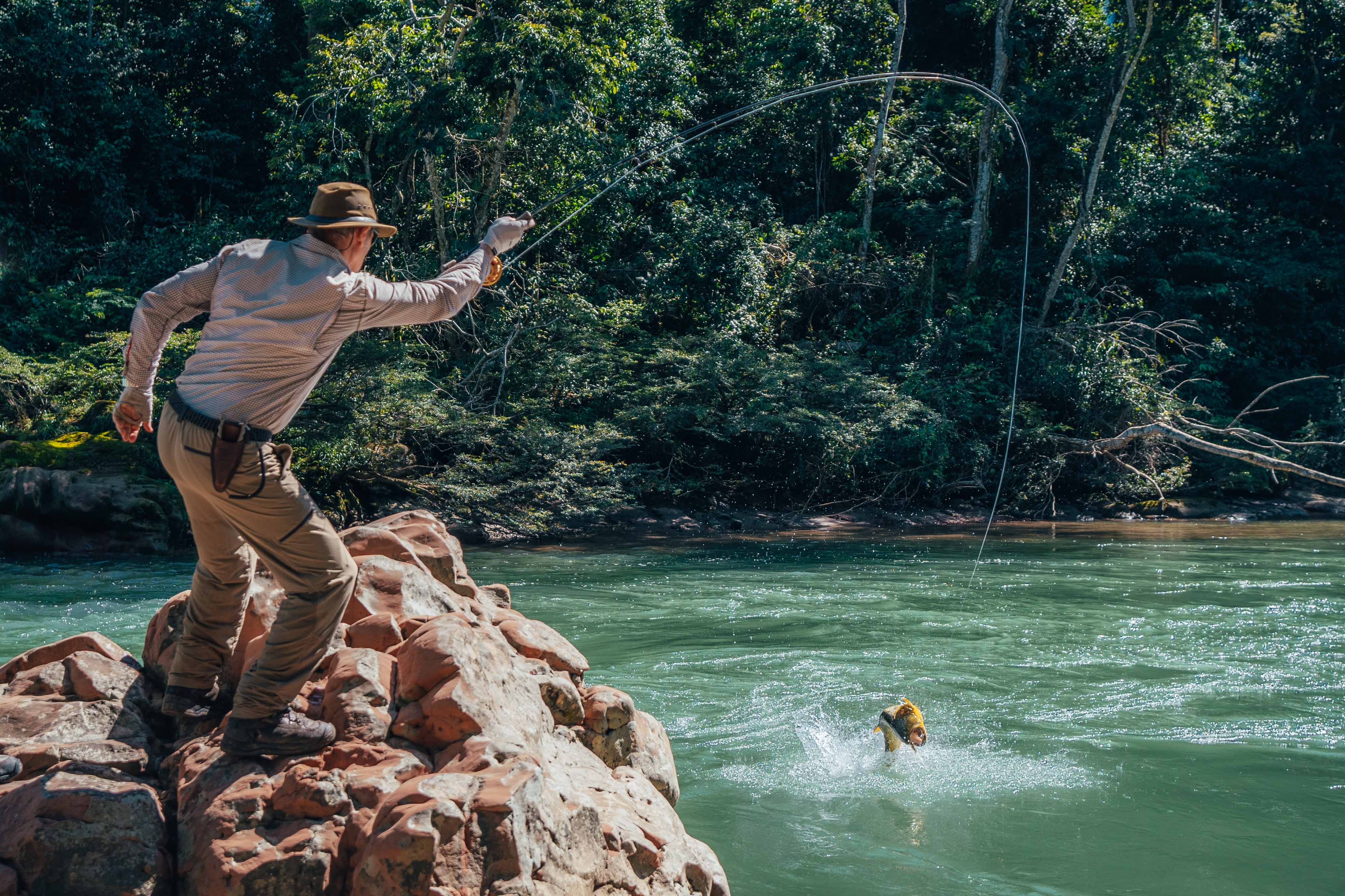 Marcelo Pérez (@jungleangler) fighting a Dorado above a rock